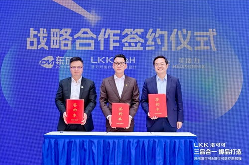 洛可可醫(yī)療咨詢 以專業(yè)設(shè)計，創(chuàng)造世界級醫(yī)療好產(chǎn)品